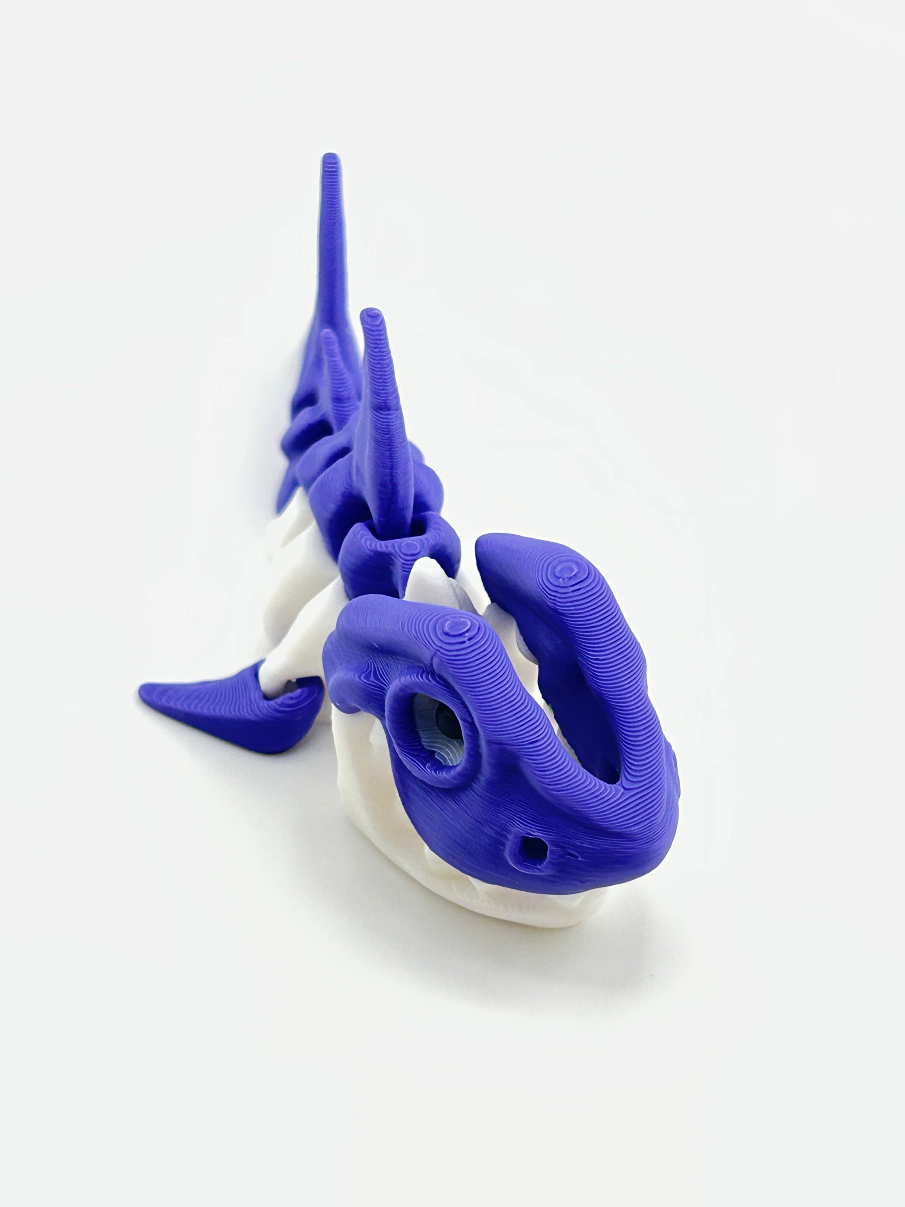 Mini Skeleton Shark