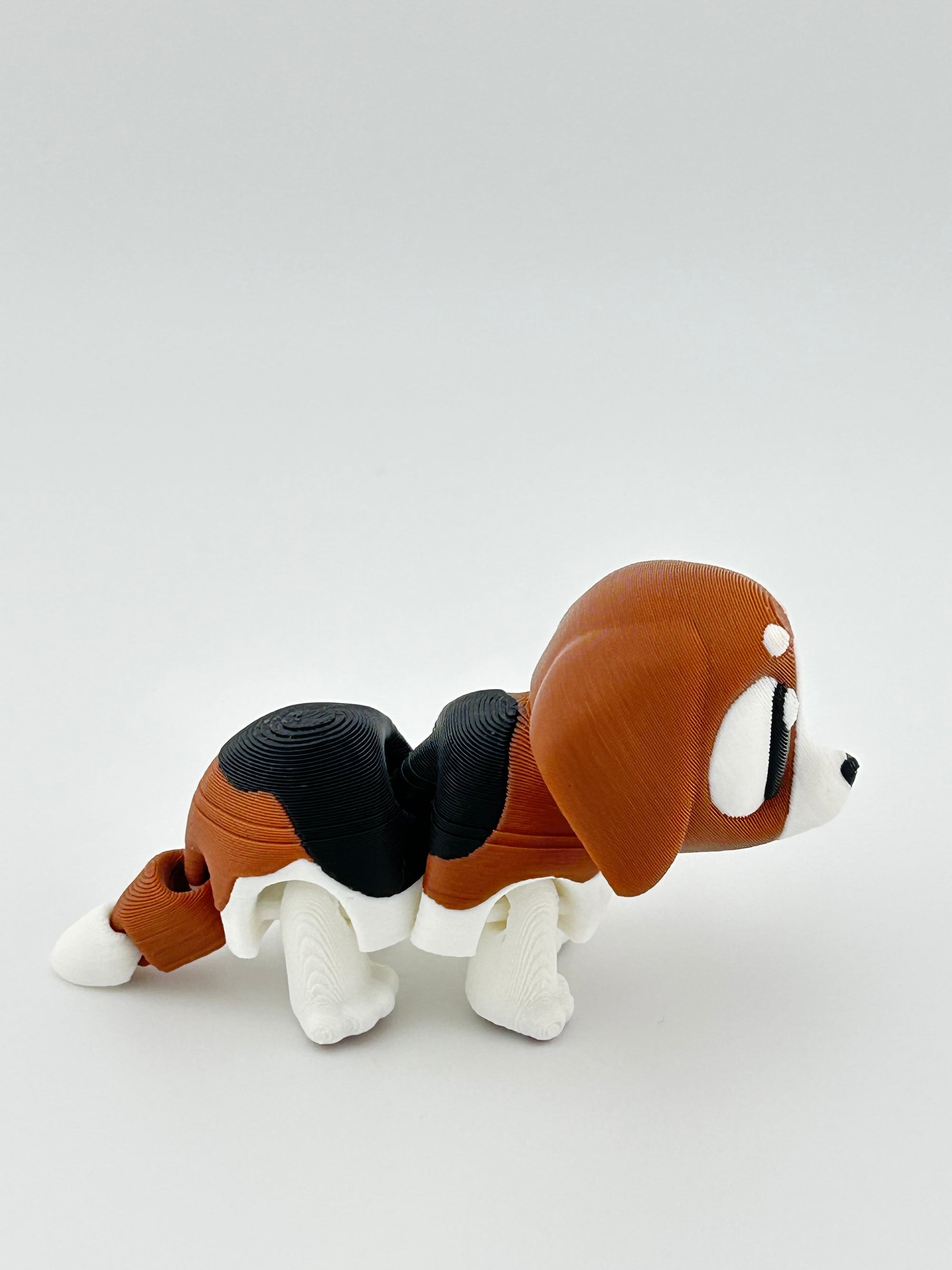 Beagle