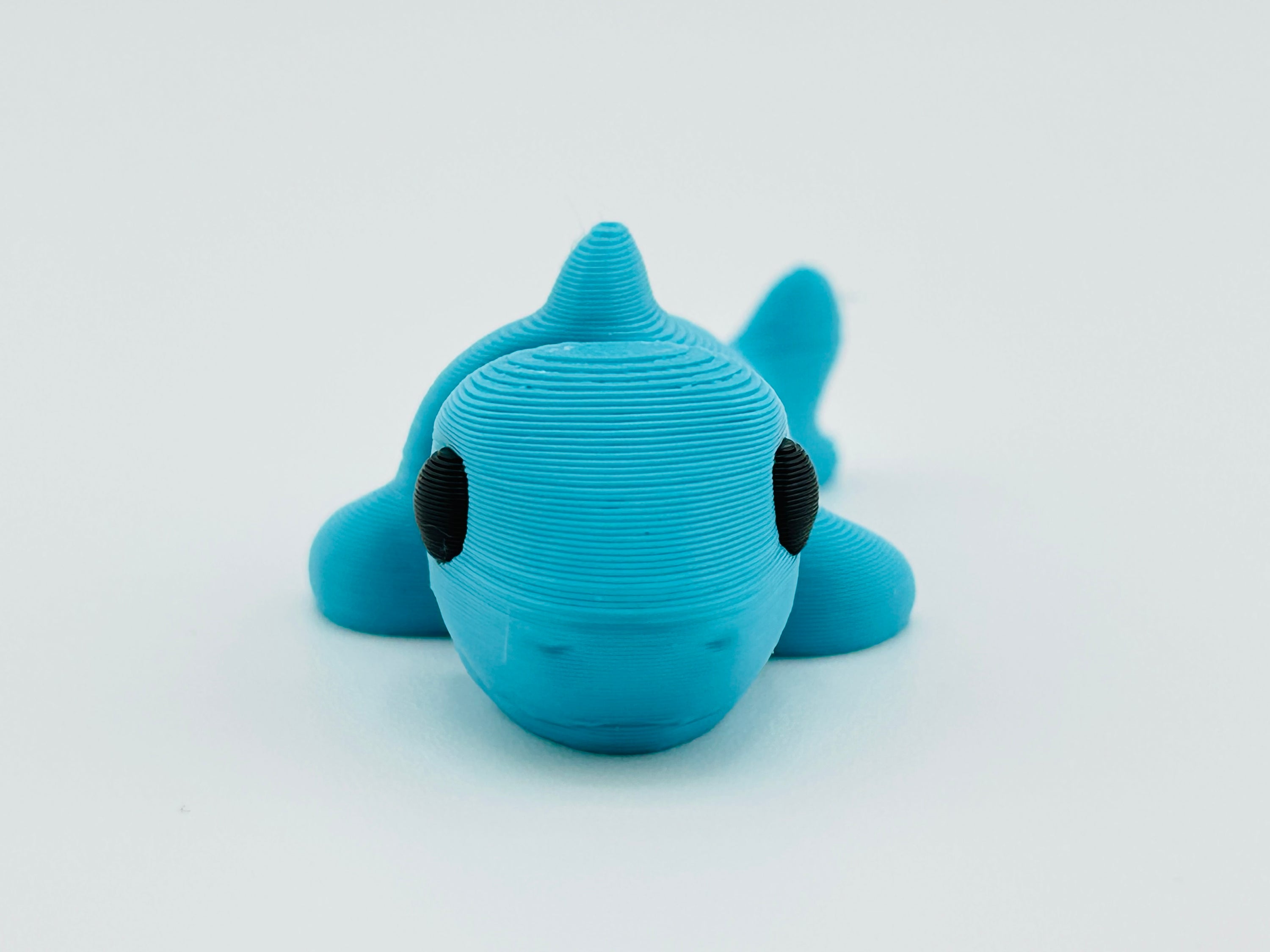 Shark