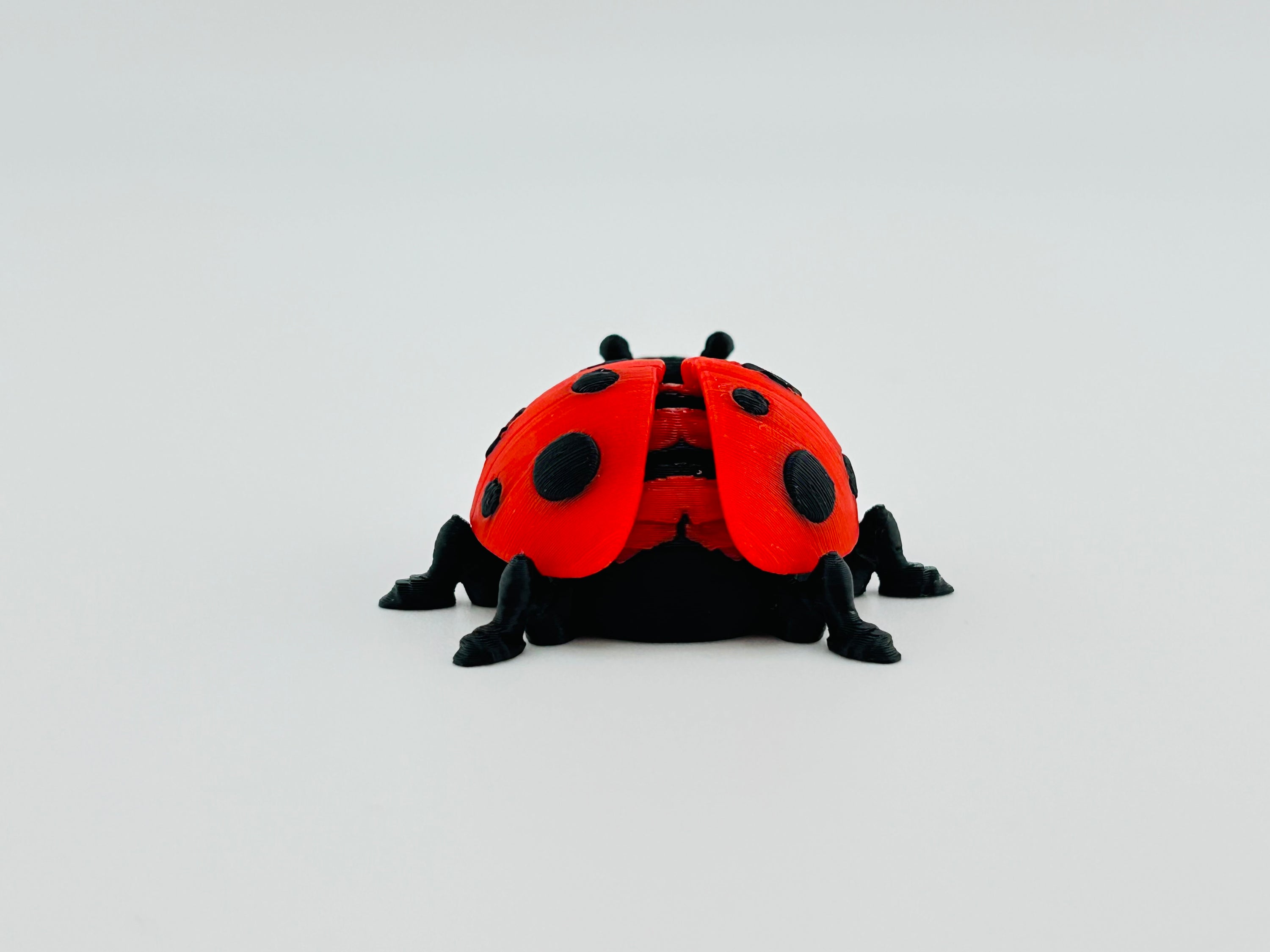 Ladybug Red