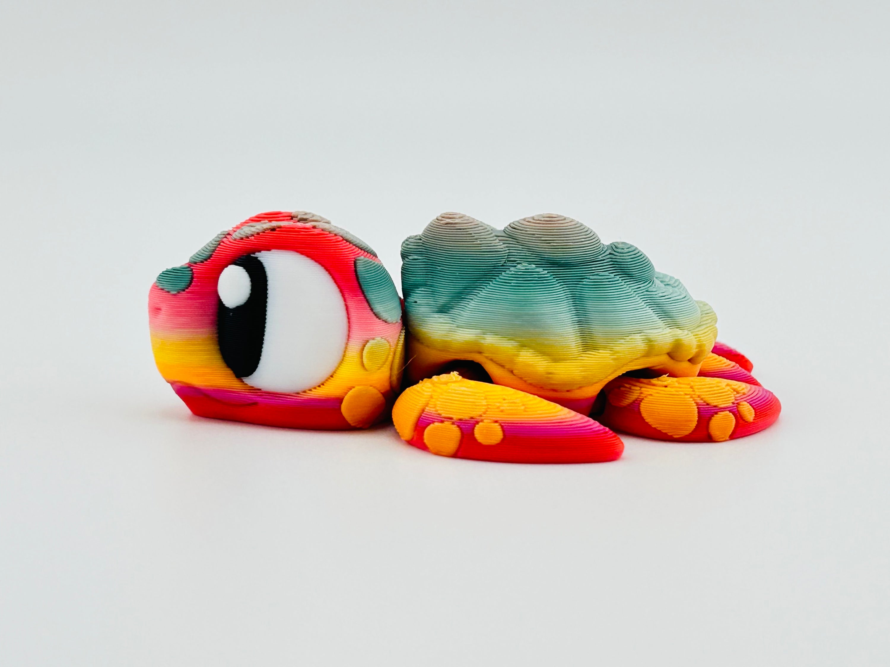 Sea Turtle Exclusive Gradient
