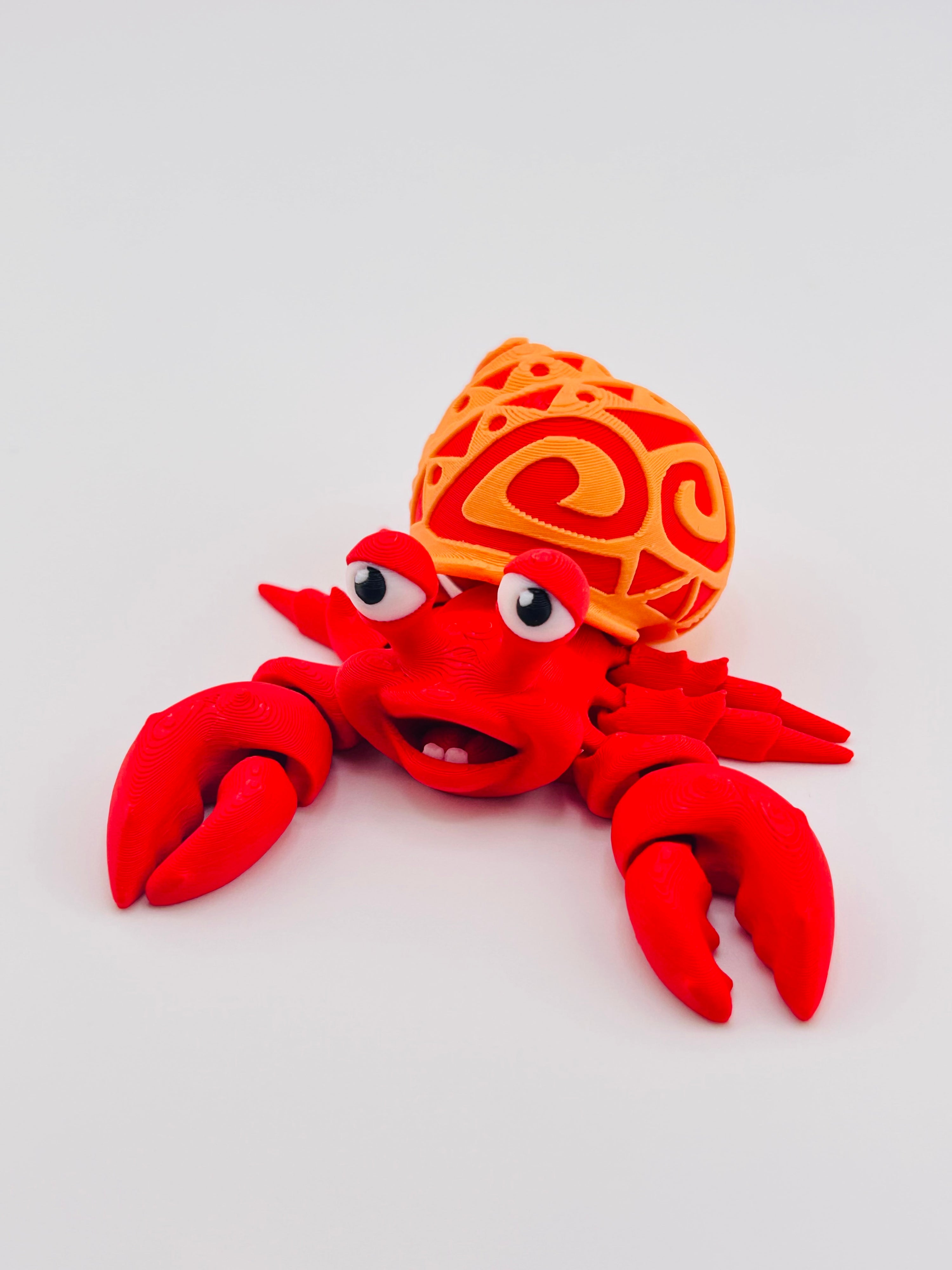 Tattooed Hermit Crab