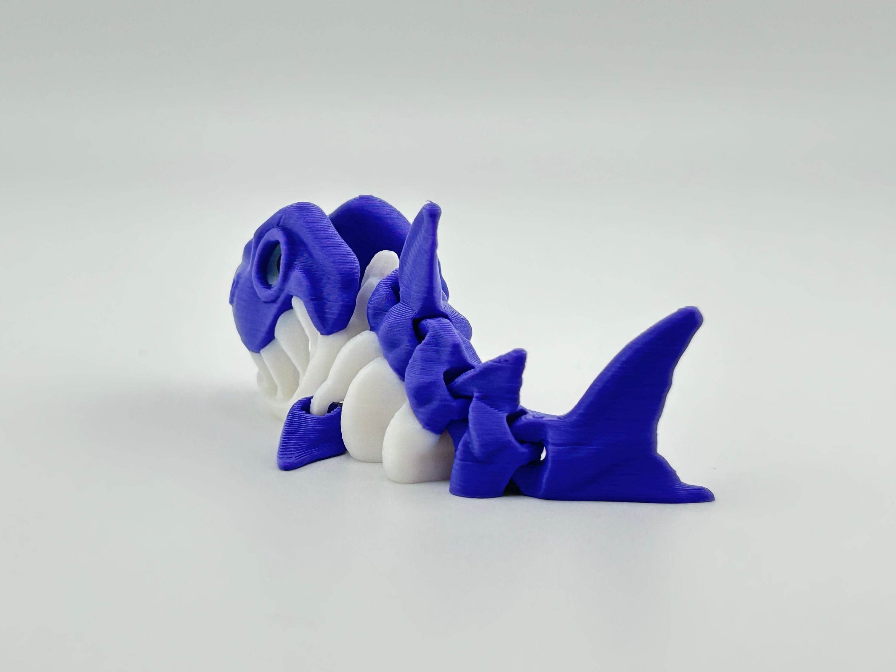 Mini Skeleton Shark
