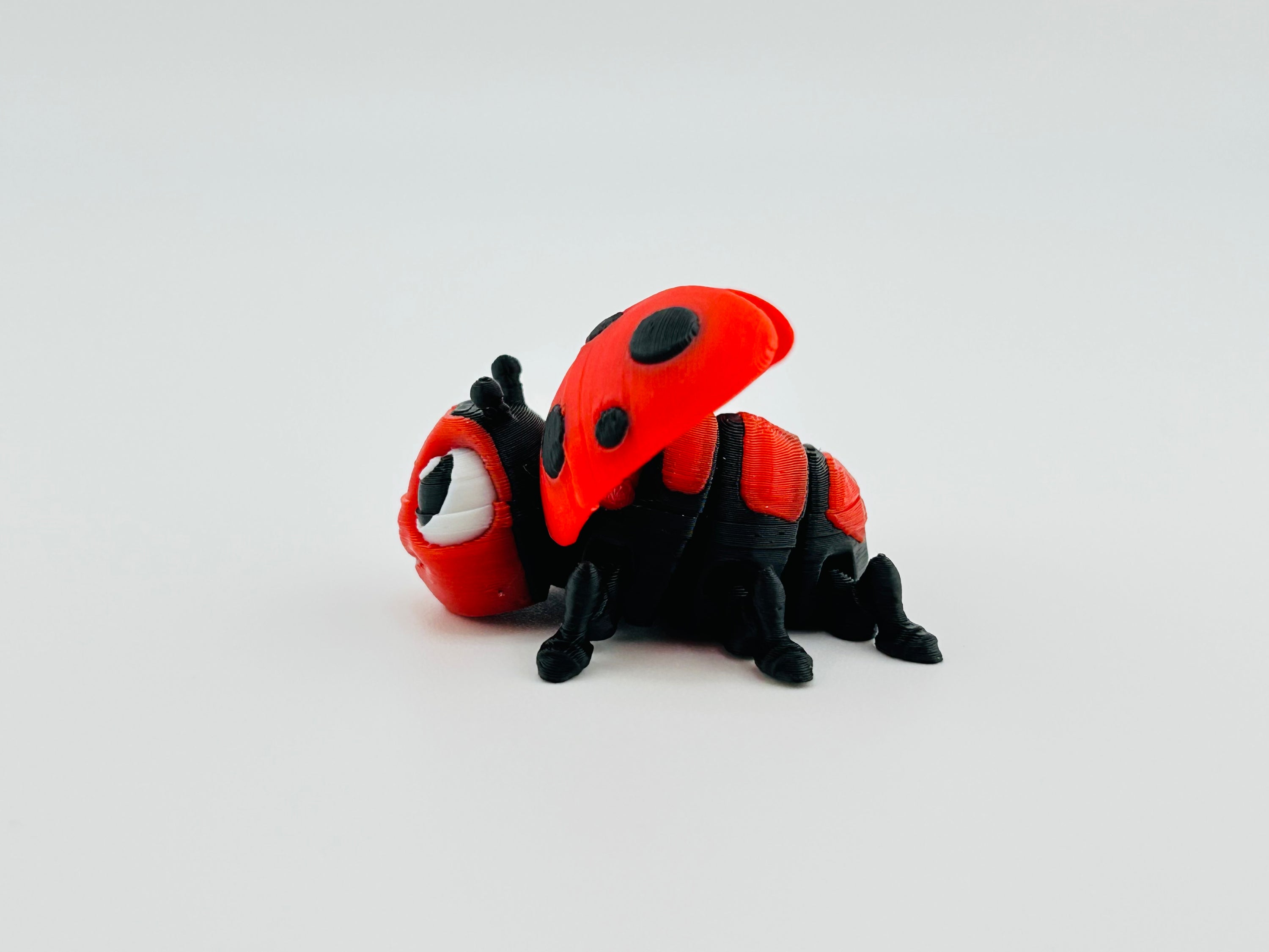 Ladybug Red