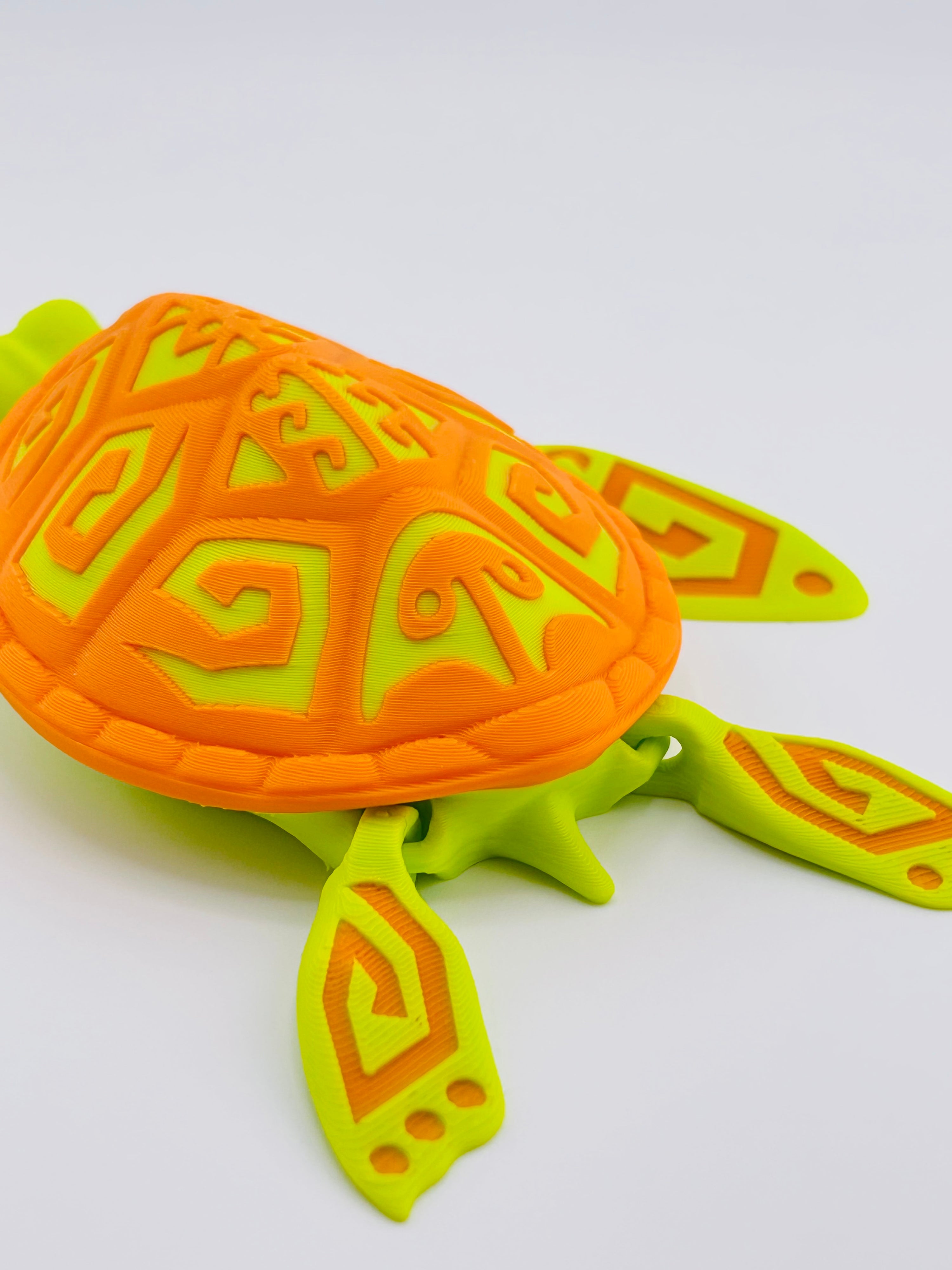 Tattooed Turtle