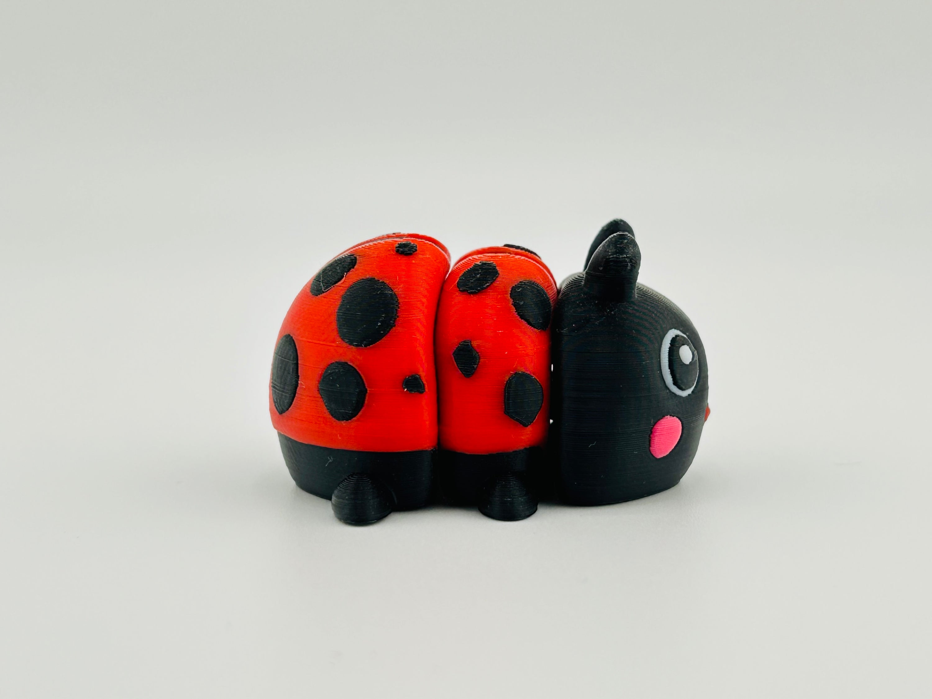 Ladybird Large